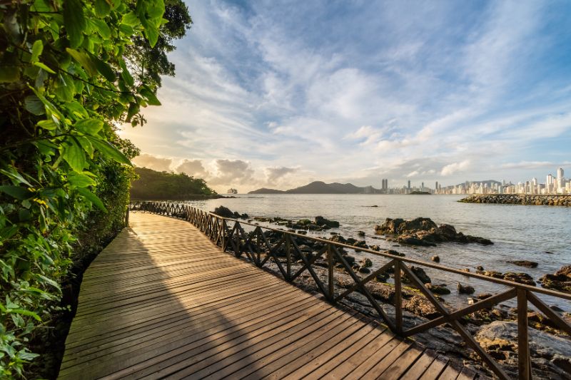 Deck de madeira na Ponta Norte de Balneário Camboriú com vista para o mar, skyline da cidade e vegetação nativa ao pôr do sol.