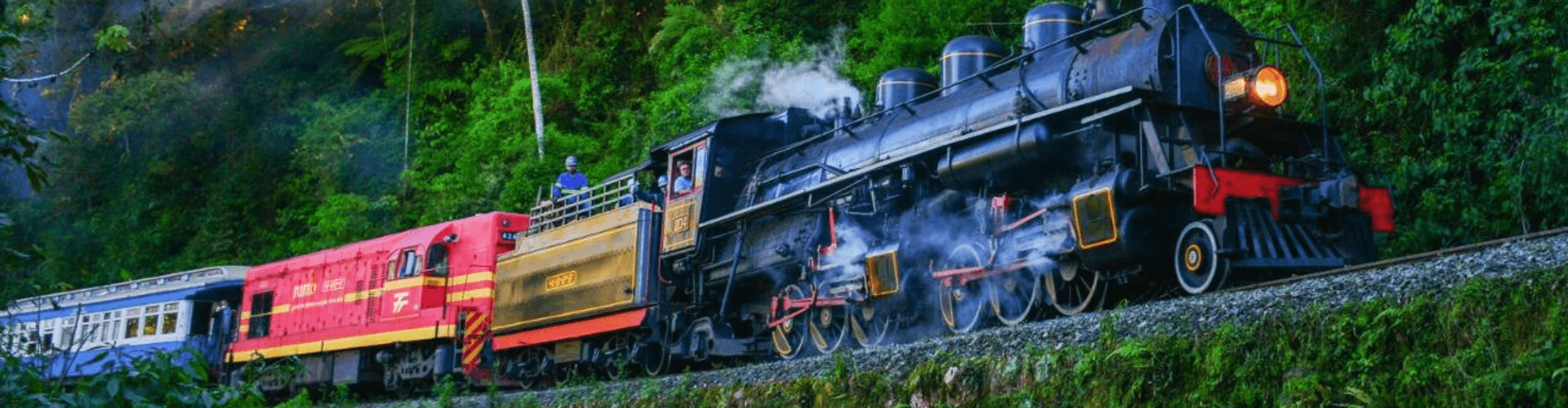 Trem Maria Fumaça - Corupá e Rio Negrinho - Serra do Mar com Tour e Rota das Flores