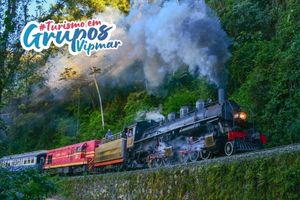 16/05: Trem Maria Fumaça - Corupá e Rio Negrinho - Serra do Mar com Tour e Rota das Flores